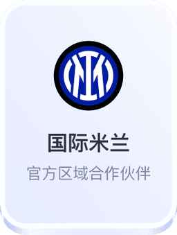 国际米兰区域合作伙伴