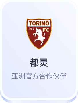 都灵官方合作伙伴
